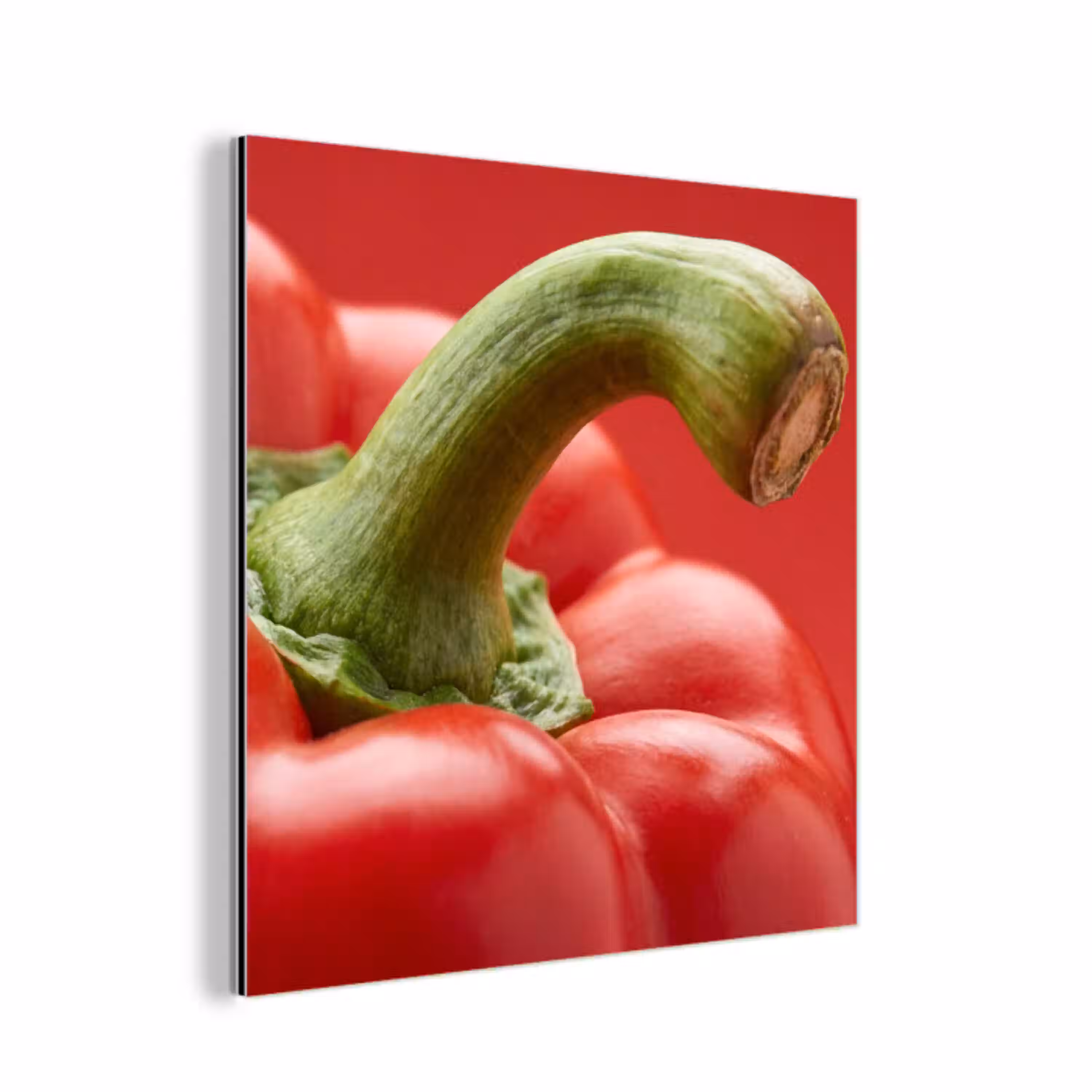 Eten - Paprika - Rood aluminium wit klein -3d