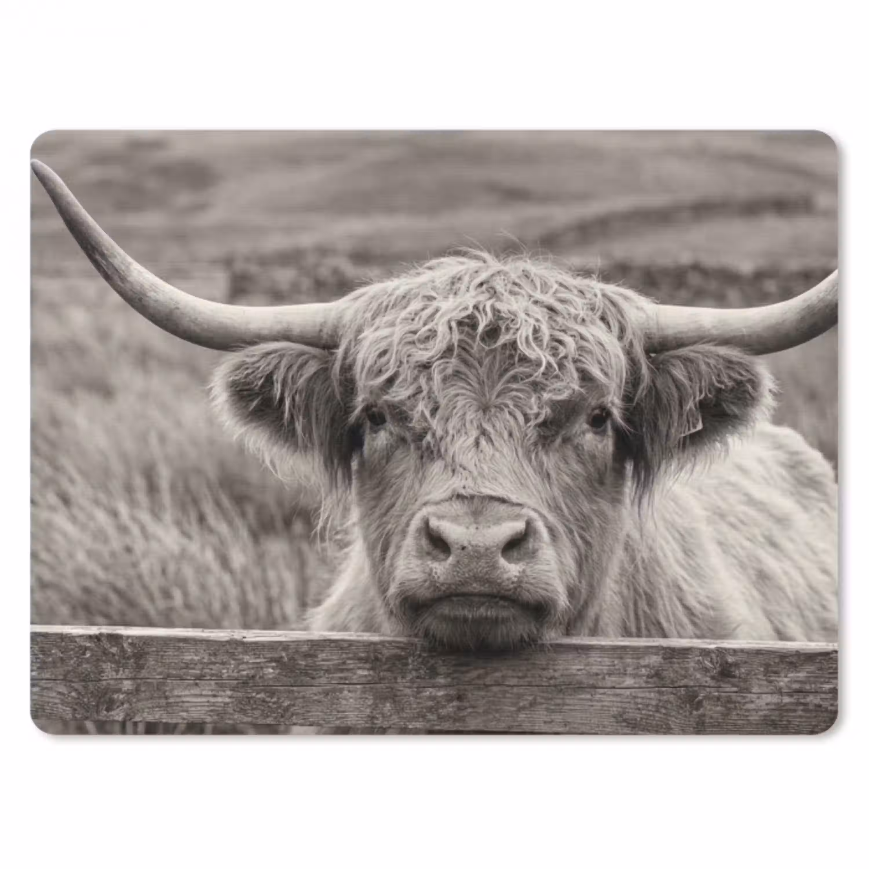 Schotse hooglander - Zwart - Wit - Hout muismat rubber klein -3d