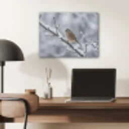 Vogel - Tak - Sneeuw - Winter PET vilt klein -sfeer5
