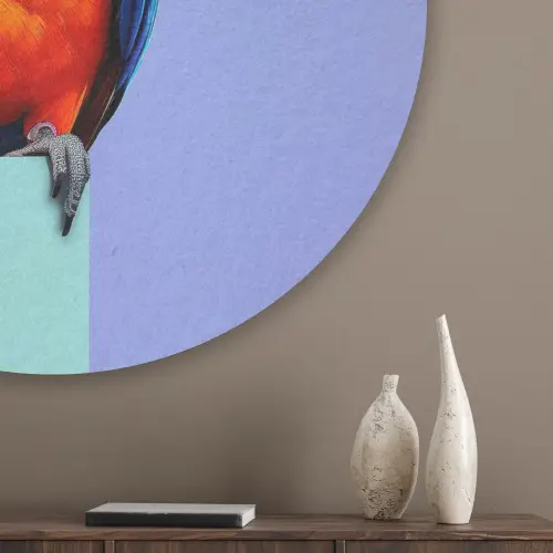 Papegaai - Koksmuts - Vogel - Leuk Akoestische PET Vilt - Rond klein -sfeer5_closeup