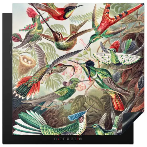 Kolibrie - Vintage - Ernst Haeckel - Vogel - Kunst - Natuur Inductie beschermer vinyl 3mm middel -3d