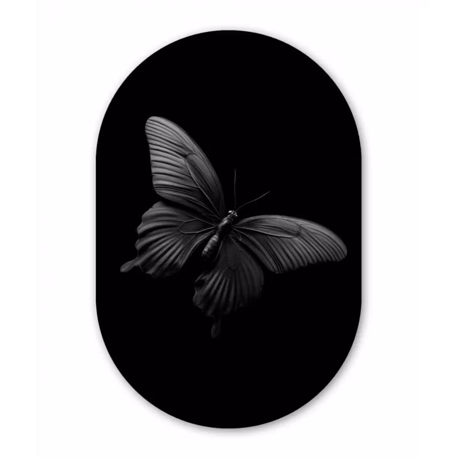 Glasbild Oval - Schmetterling - Schwarz - Insekt - Tiere