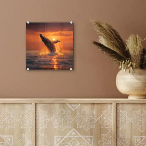 Walvis - Zon - Zee plexiglas 5mm klein -sfeer5