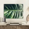 Inductie beschermer - Bananenblad - Tropisch - Jungle - Bladeren plexiglas 5mm klein -sfeer1