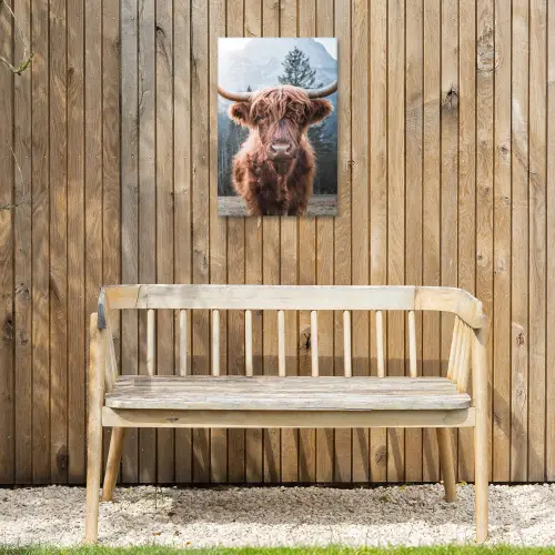 Imposante Hooglander in de Natuur Tuinposter op houten frame 2 cm dik klein -sfeer4