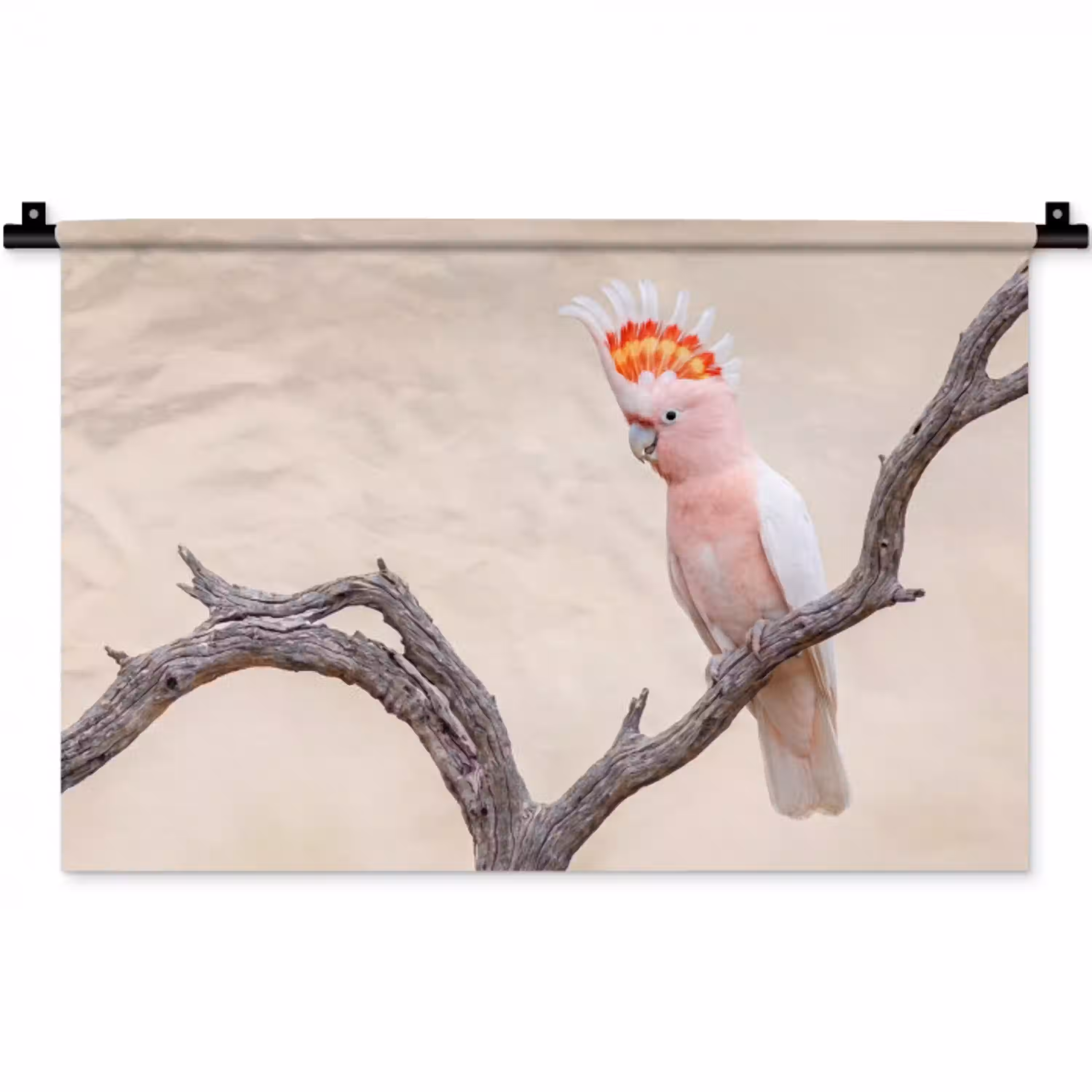Papagaai - Tak - Roze Wandkleed katoen klein -zz3d