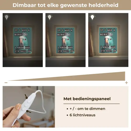 Parkiet - Turquoise - Quotes - Decoratie Light Box met kabel (Wandlamp) klein -USP_dimbaarNL
