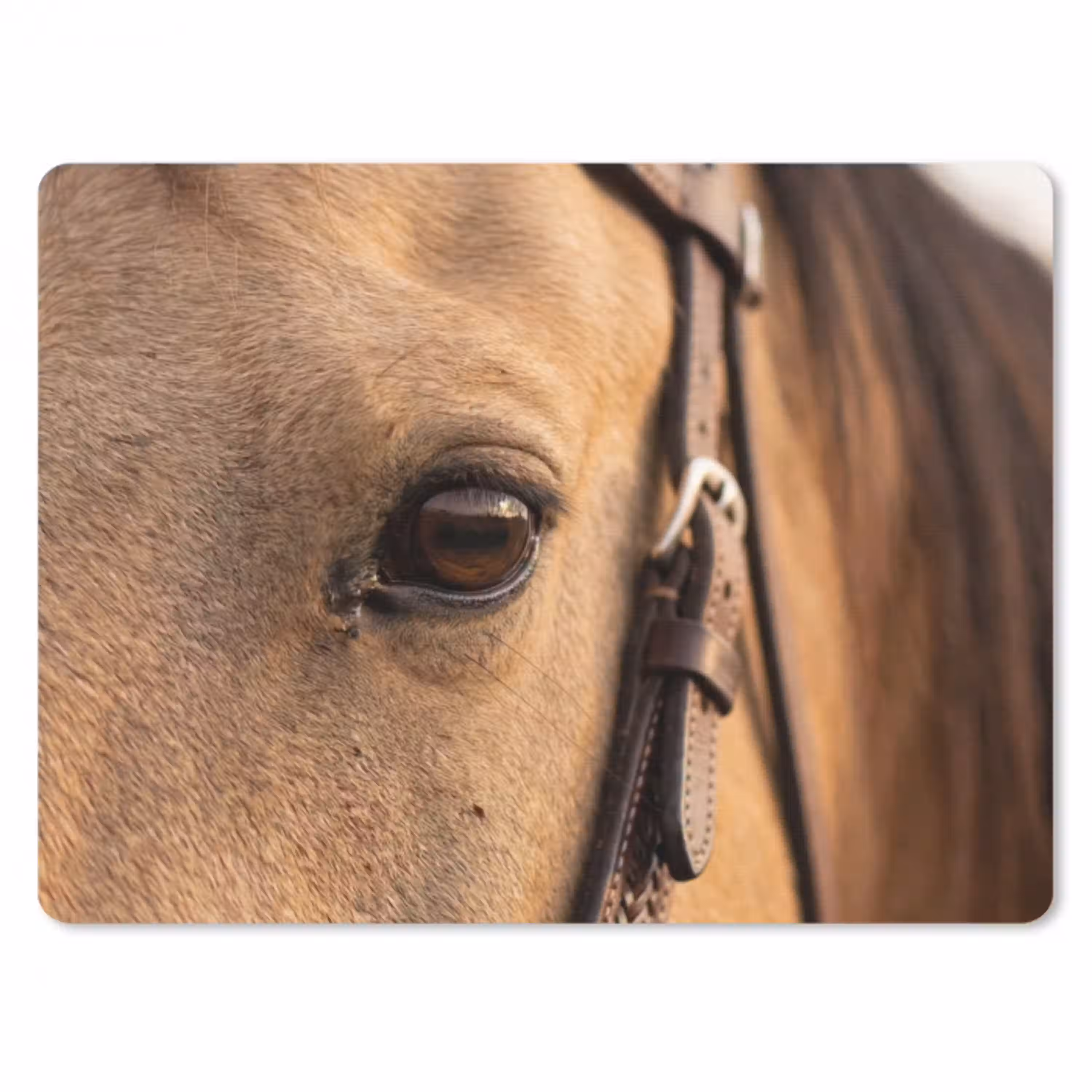 Paard - Oog - Bruin muismat rubber klein -3d
