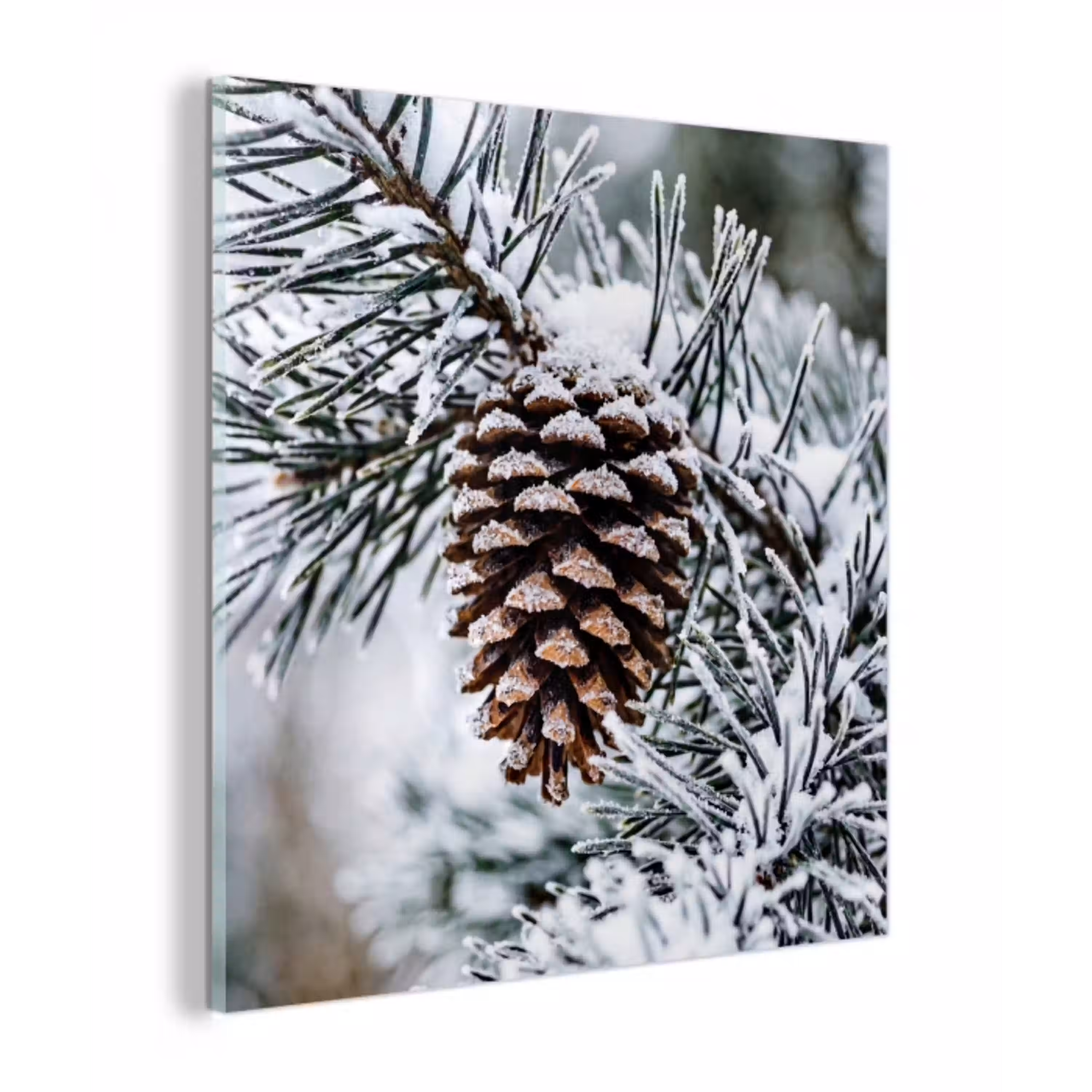 Dennenappel - Tak - Sneeuw - Winter - Sfeervol plexiglas 5mm klein -z3d