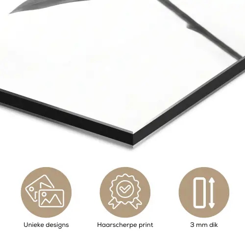 Lelies - Elegant - Zwart - Wit aluminium wit klein -closeup_NL