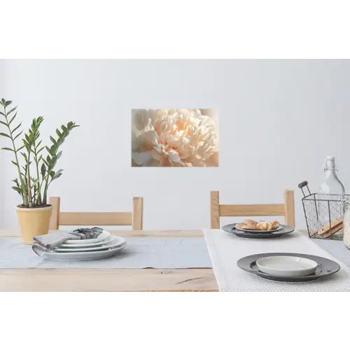 Close up - Pioenroos - Lichtroze Muursticker klein -eettafel