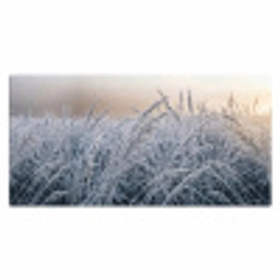 Rijp - Gras - Kristallen - Winter - Minimalistisch Muismat XXL klein -3d_leeg