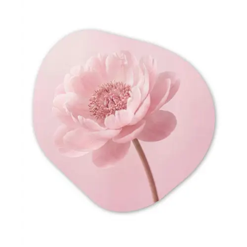 Bloem - Pioenroos - Roze Wandcirkel Organisch Aluminium middel -3d