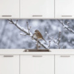 Vogel - Tak - Sneeuw - Winter keuken achterwand 2 middel -3d