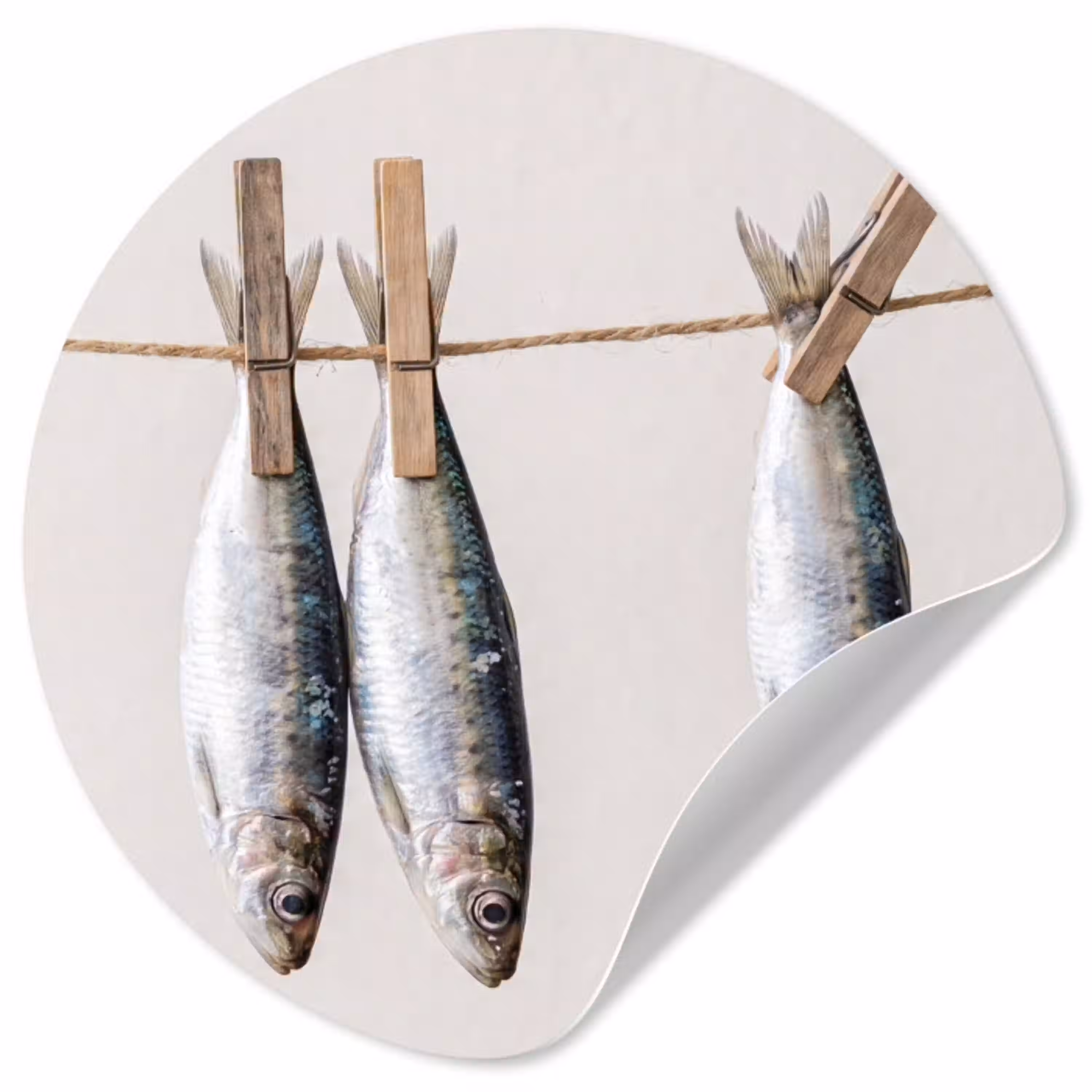 Vis - Hangend - Eten Wandcirkel behangsticker klein -3d