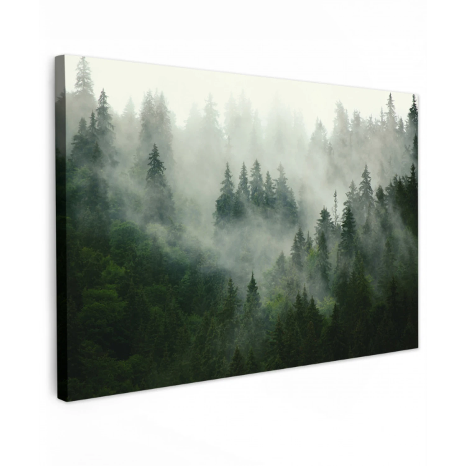 Bos - Mist - Bomen - Natuur canvas 2cm klein -z3d