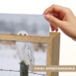 Sneeuwuil - Hek - Sneeuw - Wit Light Box met kabel (Kinderlampje) klein -USP_websiteprintFR