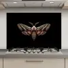 Mot - Oosterse patronen - Sierlijk keuken achterwand spatscherm klein -3d_website
