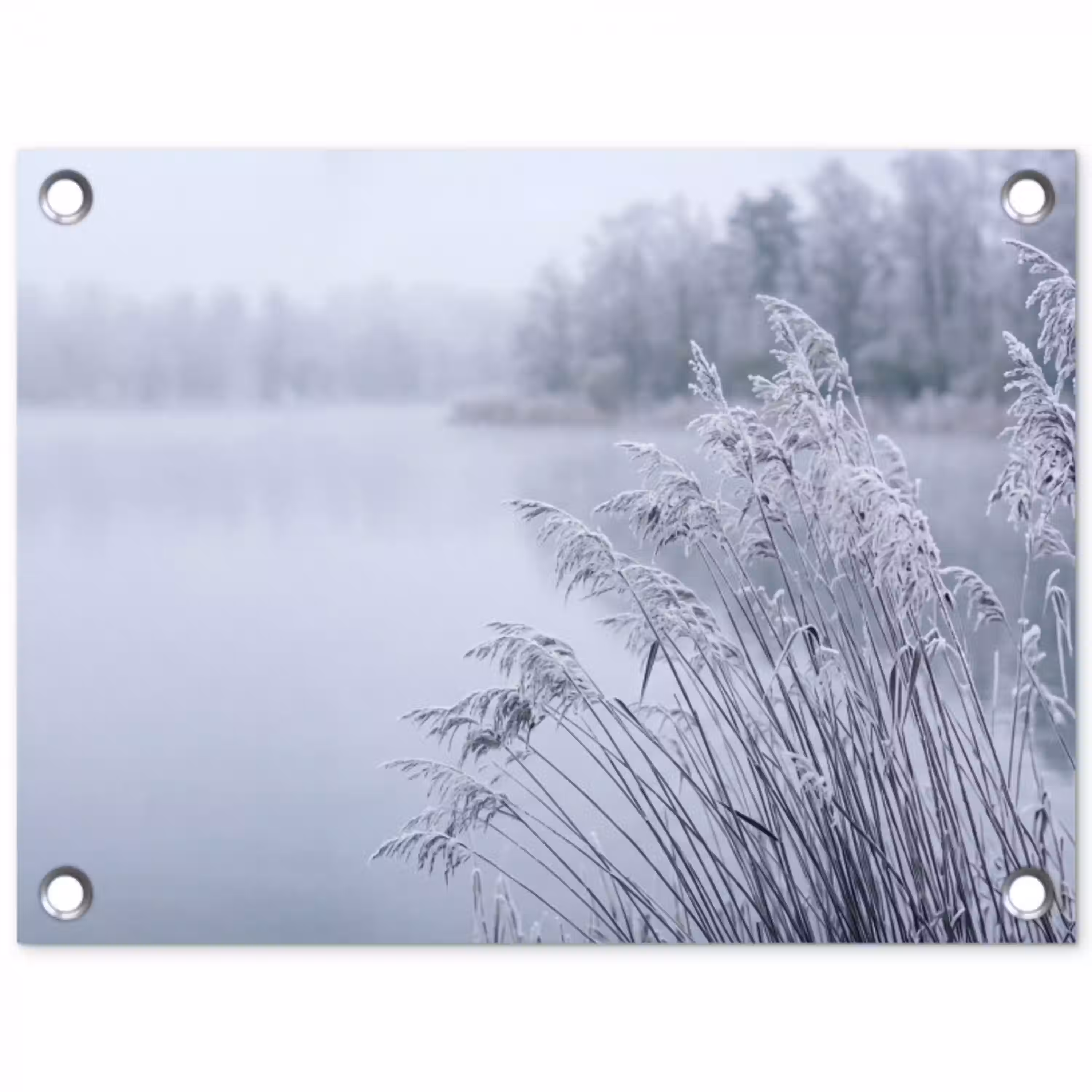 Riet - Bevroren - Winter - Natuur tuinposter los doek klein -3d