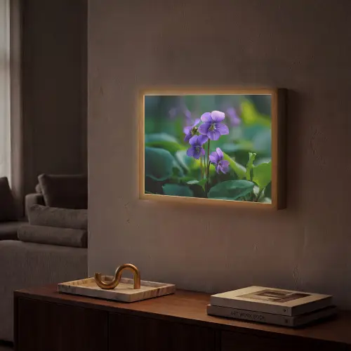 Viooltjes - Paars - Bloem - Bladeren Light Box met batterij (Wandlamp) middel -sfeer1