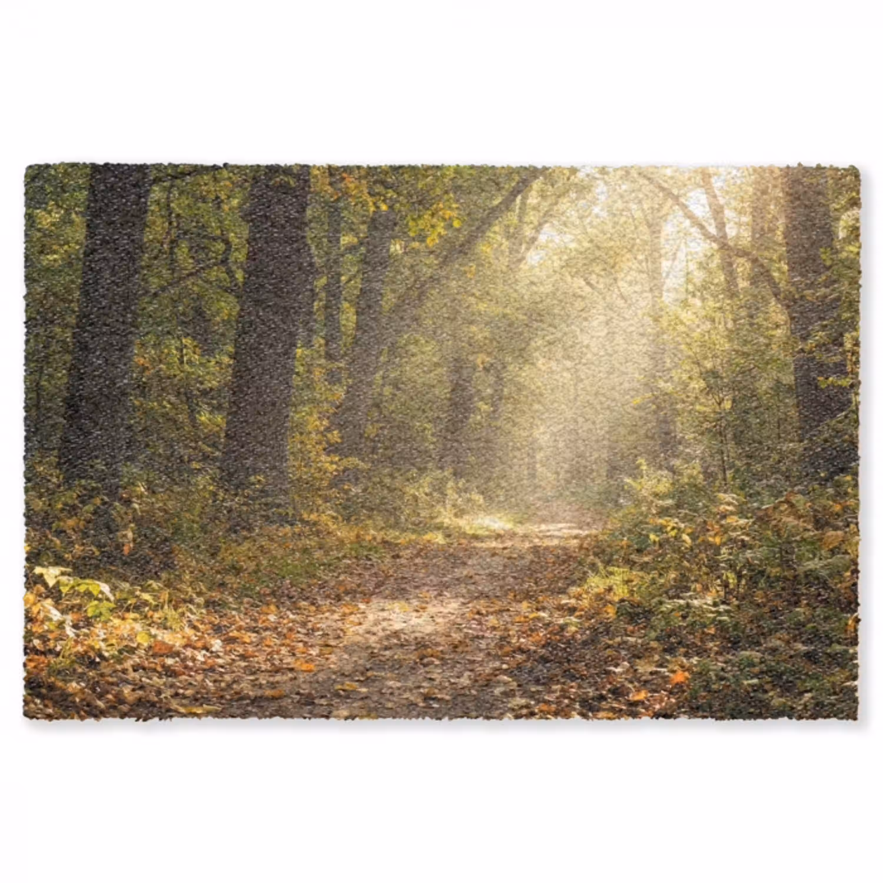 Zonlicht - Bospad - Bomen Vloerkleed Rechthoek klein -3d