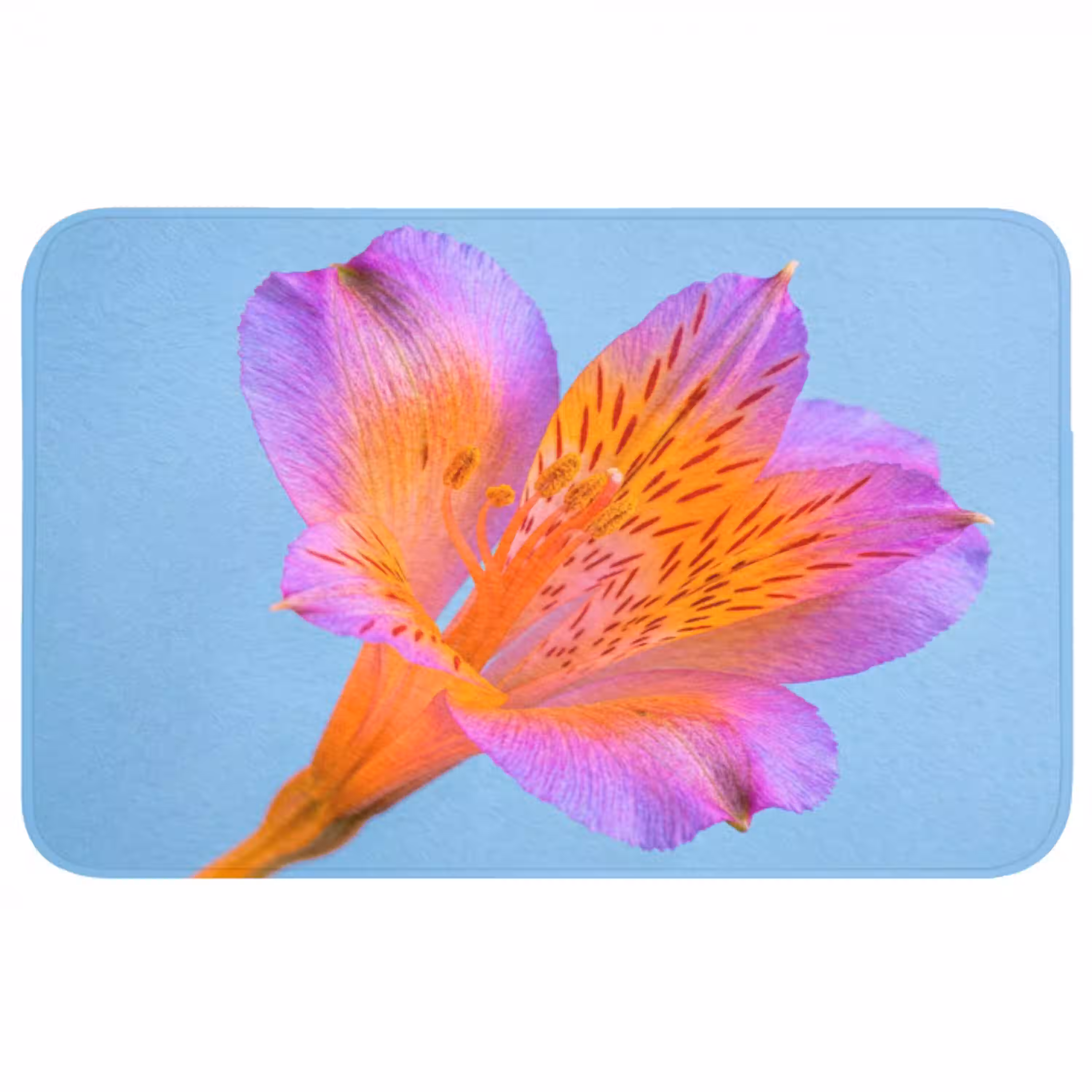 Bloem - Detail - Kleurrijk WCmat middel -3d