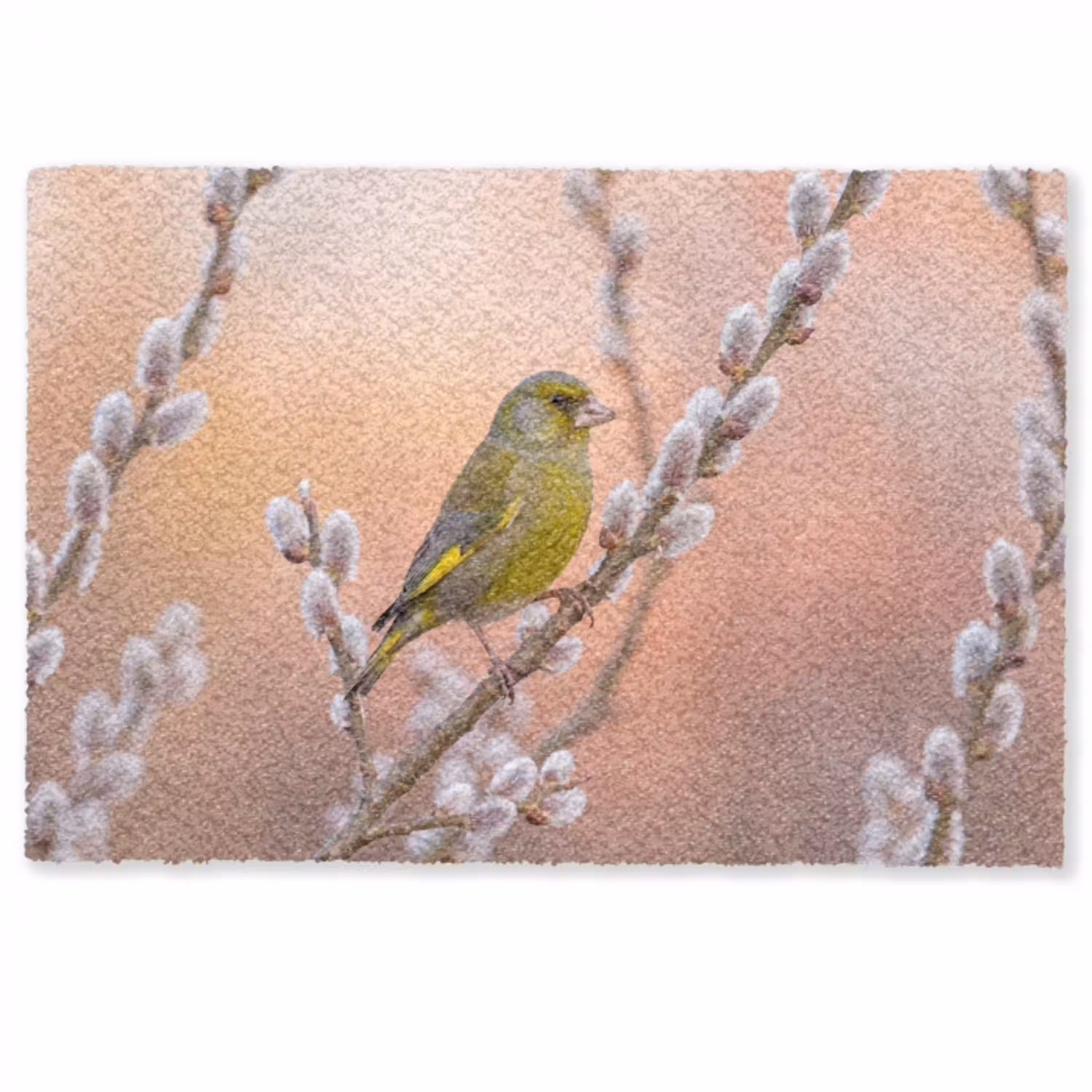 Groenling - Katjes - Lente - Natuur - Zacht Deurmat klein -zkaufland3d