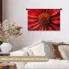 Close up - Bloem- Rood Wandkleed katoen klein -sfeer1