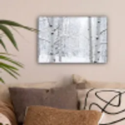 Berkenbomen - Sneeuw - Winter - Bos - Wit canvas 2cm klein -sfeer1