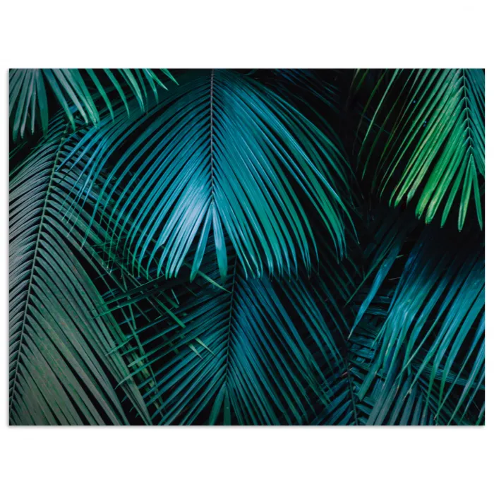 Inductie mat - Jungle - Inductie beschermer - Palmblad - Natuur poster papier klein -3d