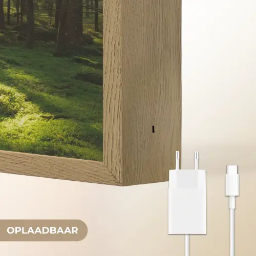 Bomen - Bos - Mos - Planten - Zon - Natuur Light Box met batterij (Wandlamp) middel -USP_websiteoplaadbaarNL