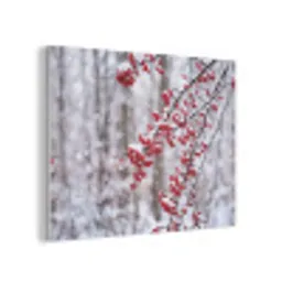 Bessen - Takken - Sneeuw - Winter - Kleurrijk PET vilt klein -3d