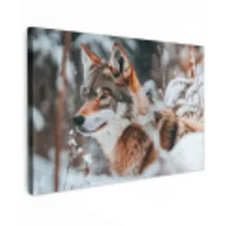 Wolf - Sneeuw - Winter - Dieren - Natuur - Sneeuw Tuinposter op houten frame 2 cm dik klein -3d
