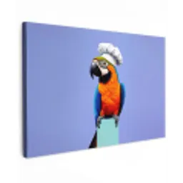Papegaai - Koksmuts - Vogel - Leuk Tuinposter op houten frame 2 cm dik klein -3d