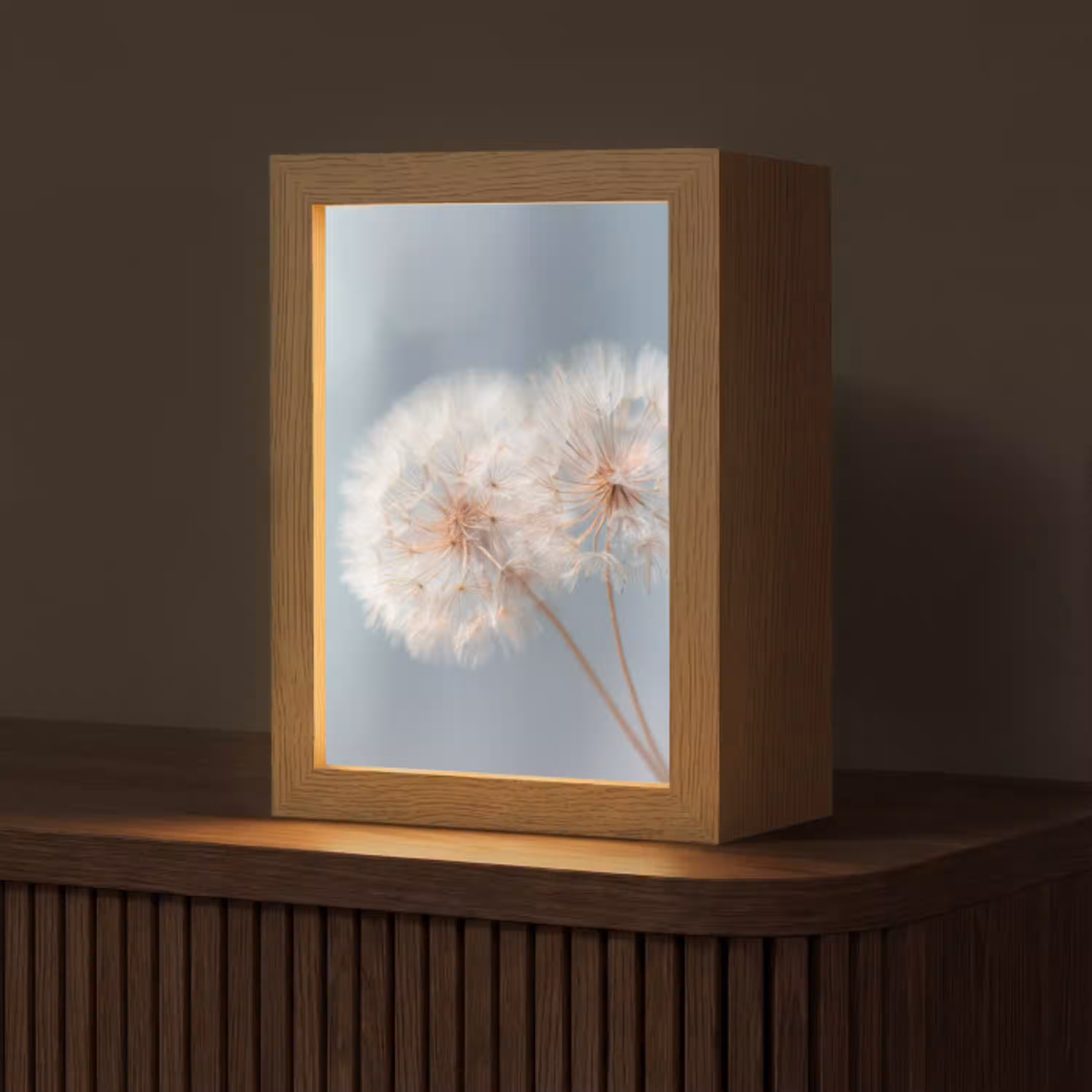 Paardenbloemen - Pluisjes - Wit Light Box met kabel (Tafellamp) klein -z3d_website