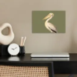 Pelikaan - Wit - Vogel - Klassiek - Natuur poster papier klein -sfeer1