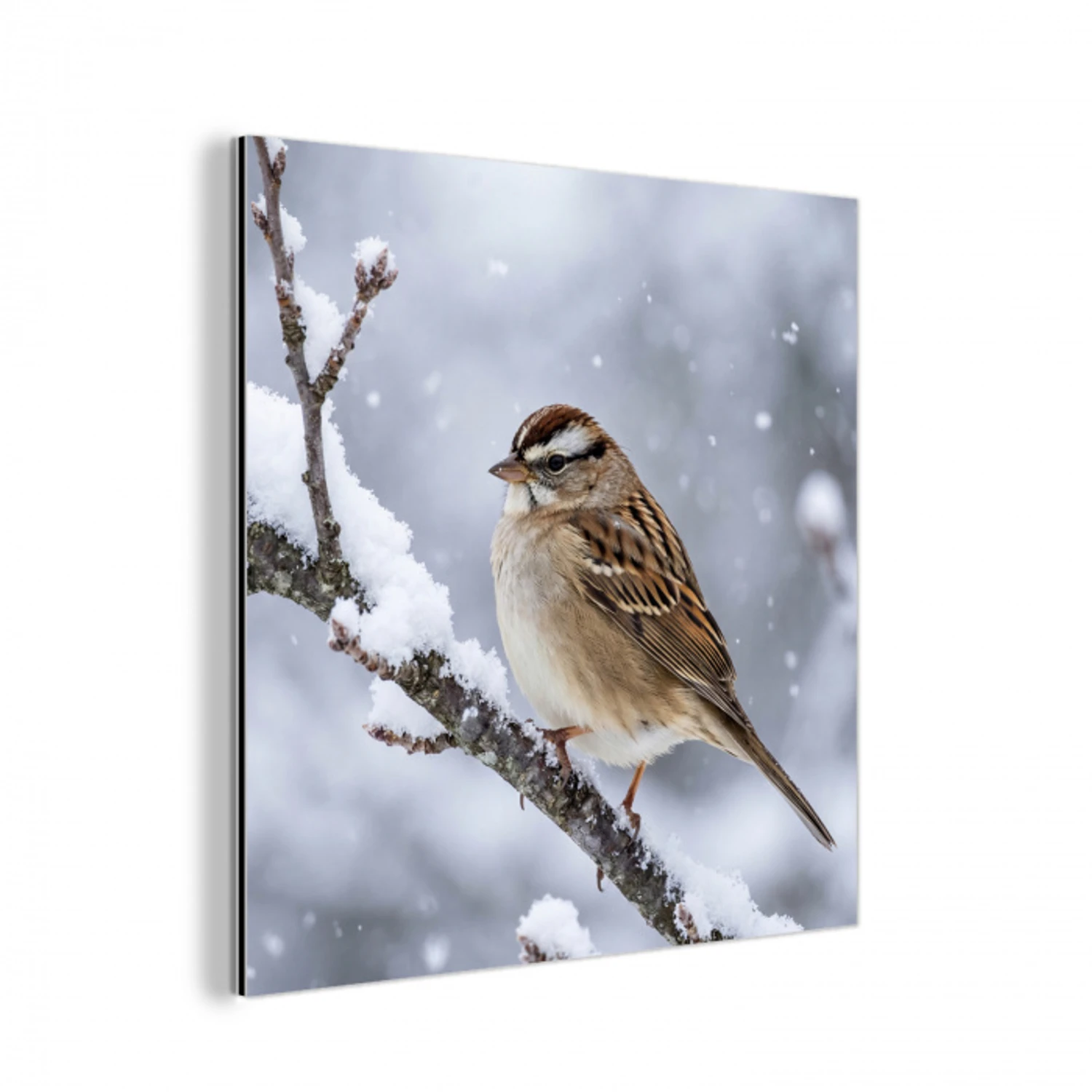 Vogel - Tak - Sneeuw - Winter aluminium wit klein -3d