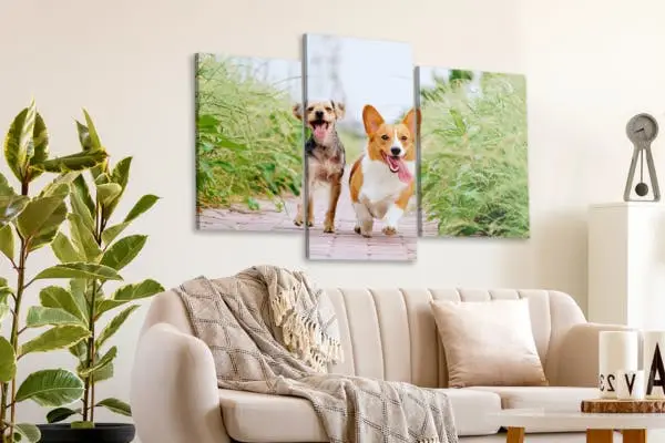 Canvas meerluiken honden