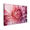Dahlia - Bloem - Close up - Roze Tuinposter op houten frame 2 cm dik klein -3d