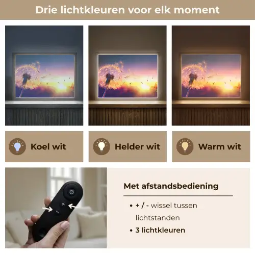 Paardenbloem - Bloemen - Zonsondergang - Horizon - Nacht Light Box met batterij (Wandlamp) middel -USP_lichtkleurNL