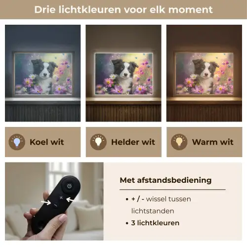 Hond - Bloemen - Natuur - Puppy - Bordercollie Light Box met batterij (Wandlamp kind) middel -USP_lichtkleurNL