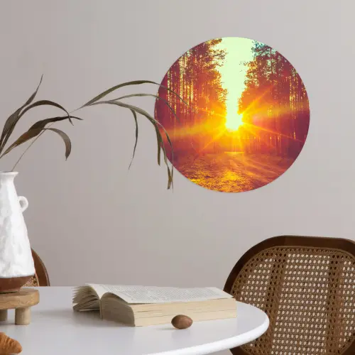 Zonsondergang - Bomen - Bos - Natuur Wandcirkel behangsticker klein -sfeer3