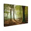 Bos - Zon - Seizoenen - Landschap canvas 2cm klein -z3d
