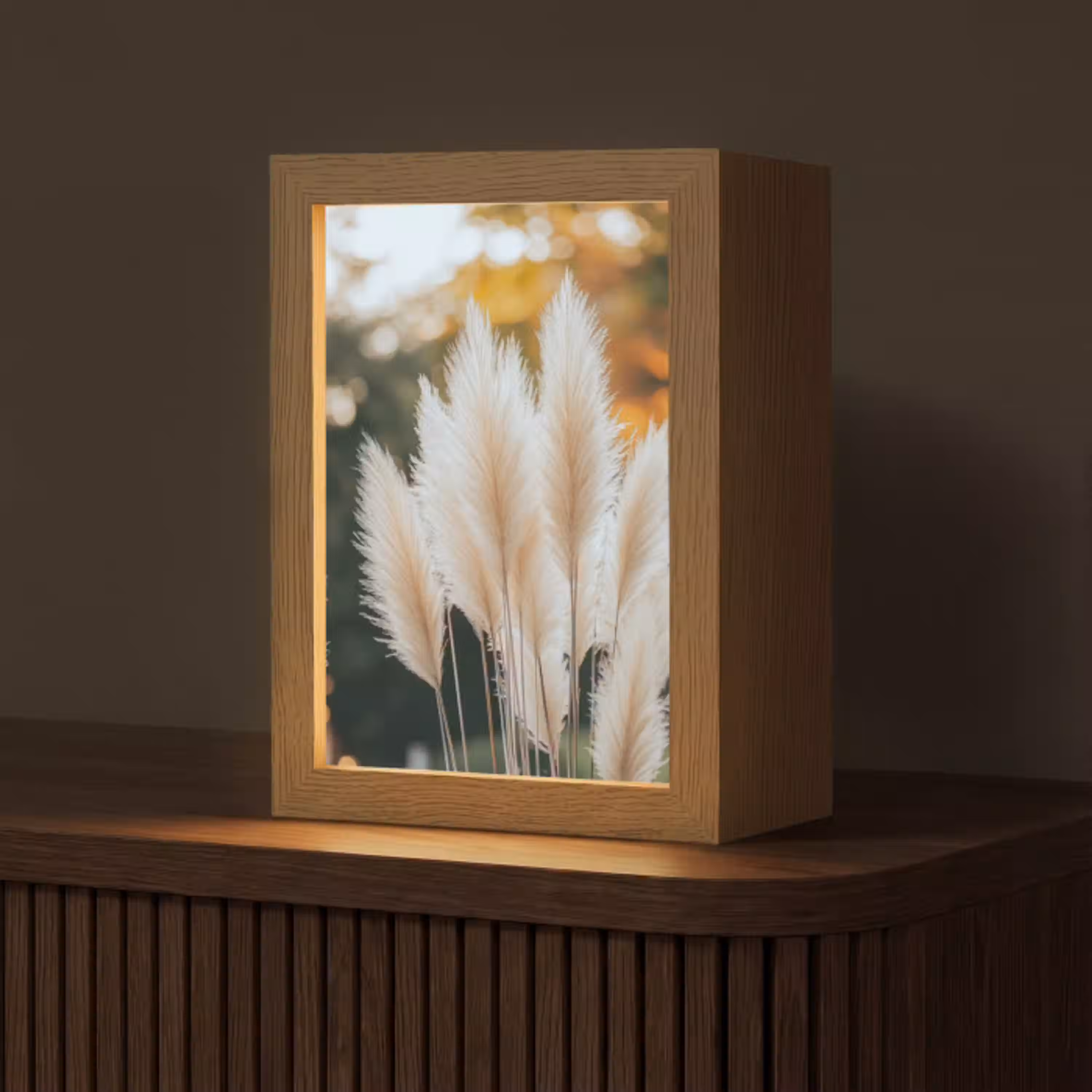 Pampasgras - Pluimen - Sierlijk Light Box met kabel (Tafellamp) klein -z3d_website