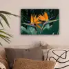 Paradijsvogel - Bloem - Exotisch canvas 2cm klein -sfeer1