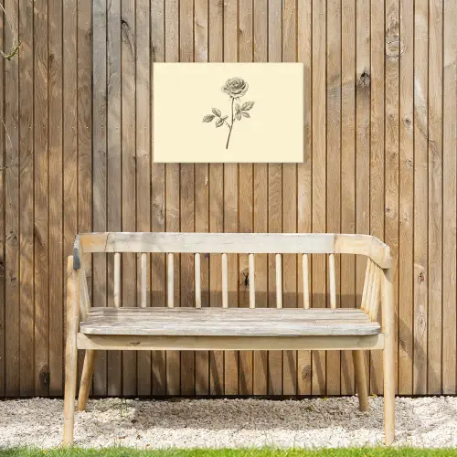 Illustratie - Zwart - Roos Tuinposter op houten frame 2 cm dik klein -sfeer4
