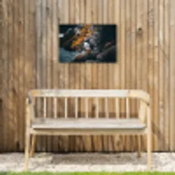 Papegaai - Vogel - Rots - Wit Tuinposter op houten frame 2 cm dik klein -sfeer4