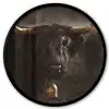 Schotse hooglander - Goud - Koebel - Hoorns - Dieren Fotolijst rond zonder passe partout klein -3d