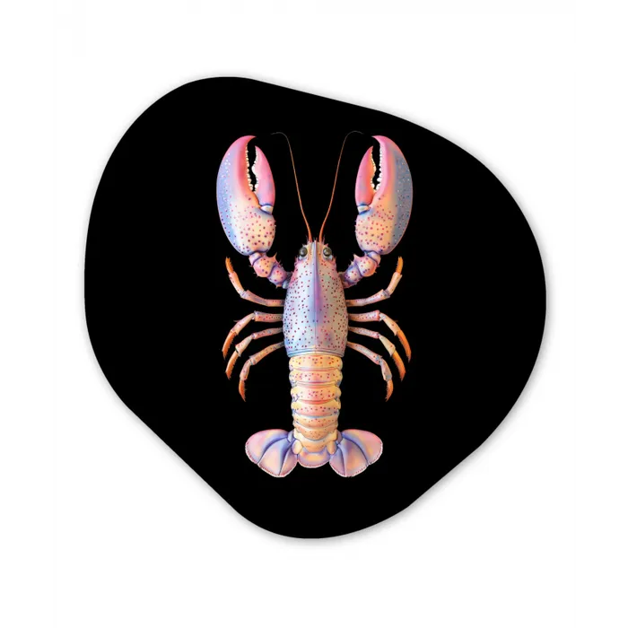 Kreeft - Roze - Zacht - Zwart Wandcirkel Organisch Plexiglas middel -3d