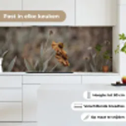 Zonnehoed - Droogbloemen - Geel - Warm keuken achterwand 2 middel -sfeer4_NL